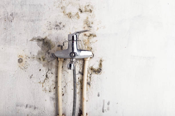 Water Damage Restoration in Dock Junction, GA