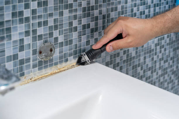 Best Mold Remediation  in Dock Junction, GA