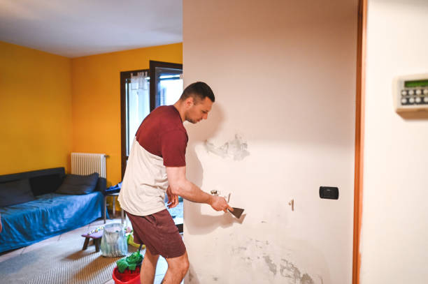 Best Toxic Mold Removal  in Dock Junction, GA
